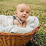 baby, basket, blanket, outdoor, grass, flowers, clover, infant, nature, cute, portrait, child, face, skin, head, expression, young, peaceful, relaxing, daylight