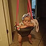 Mary is registered to the contest to win money with this photo: accessories, baby, bed, bonnet, clothing, crib, door, face, furniture, hat, head, infantbed, newborn, person, photography, portrait, sitting, strap, swing, toy