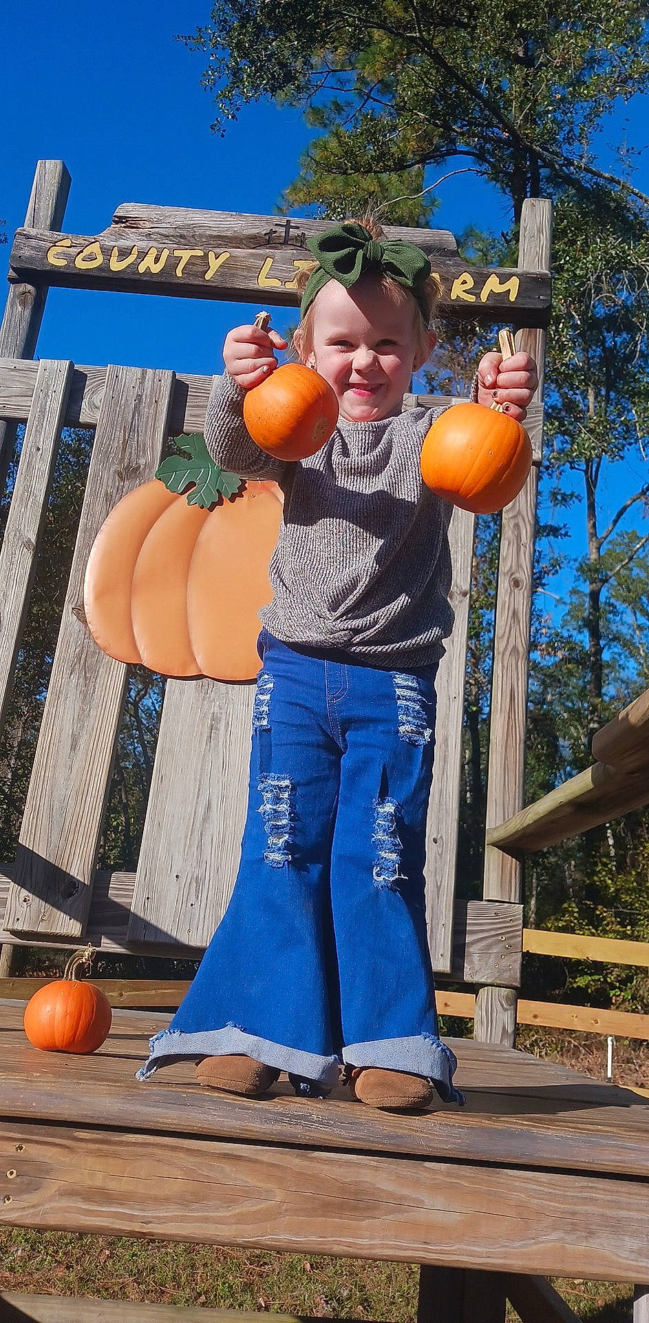 Anilyn is registered to the contest to win money with this photo: advertising, calabaza, cucurbita, denim, door, electric_blue, gourd, human_leg, joy, leisure, local_food, natural_foods, orange, person, plant, pumpkin, sports_equipment, squash, tree, vacation