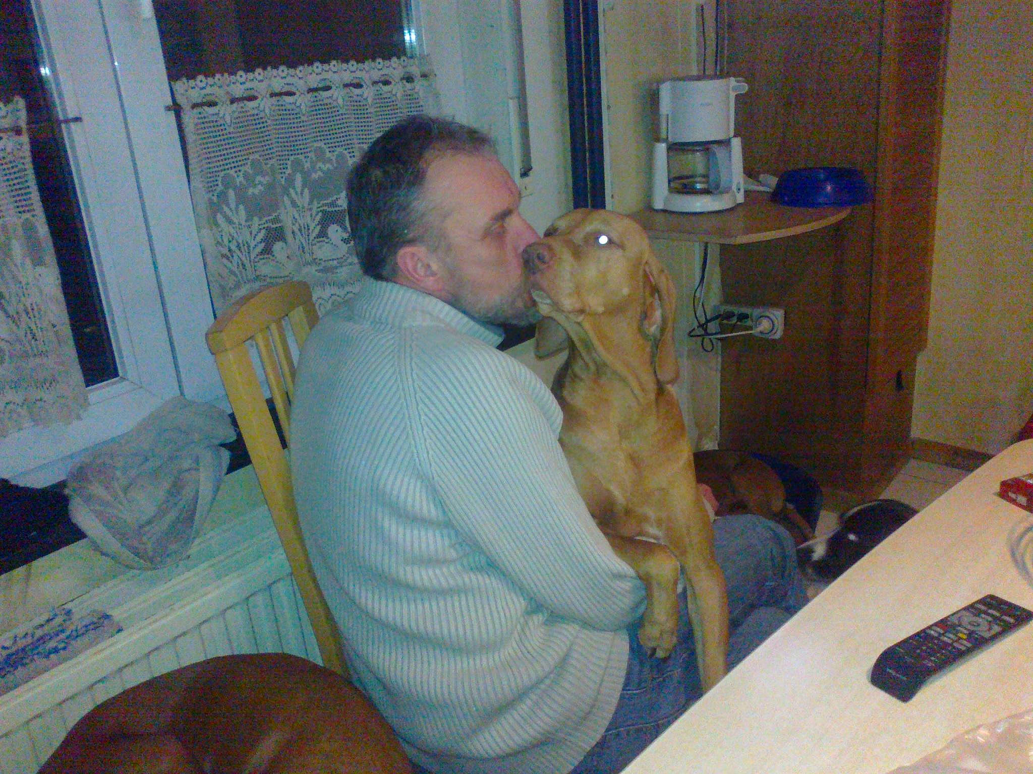 Calie Et Les Autres participe au concours pour gagner de l'argent avec cette photo : broholmer, canidae, carnivore, companion_dog, dog, dog_breed, fawn, person, retriever, sporting_group, vizsla