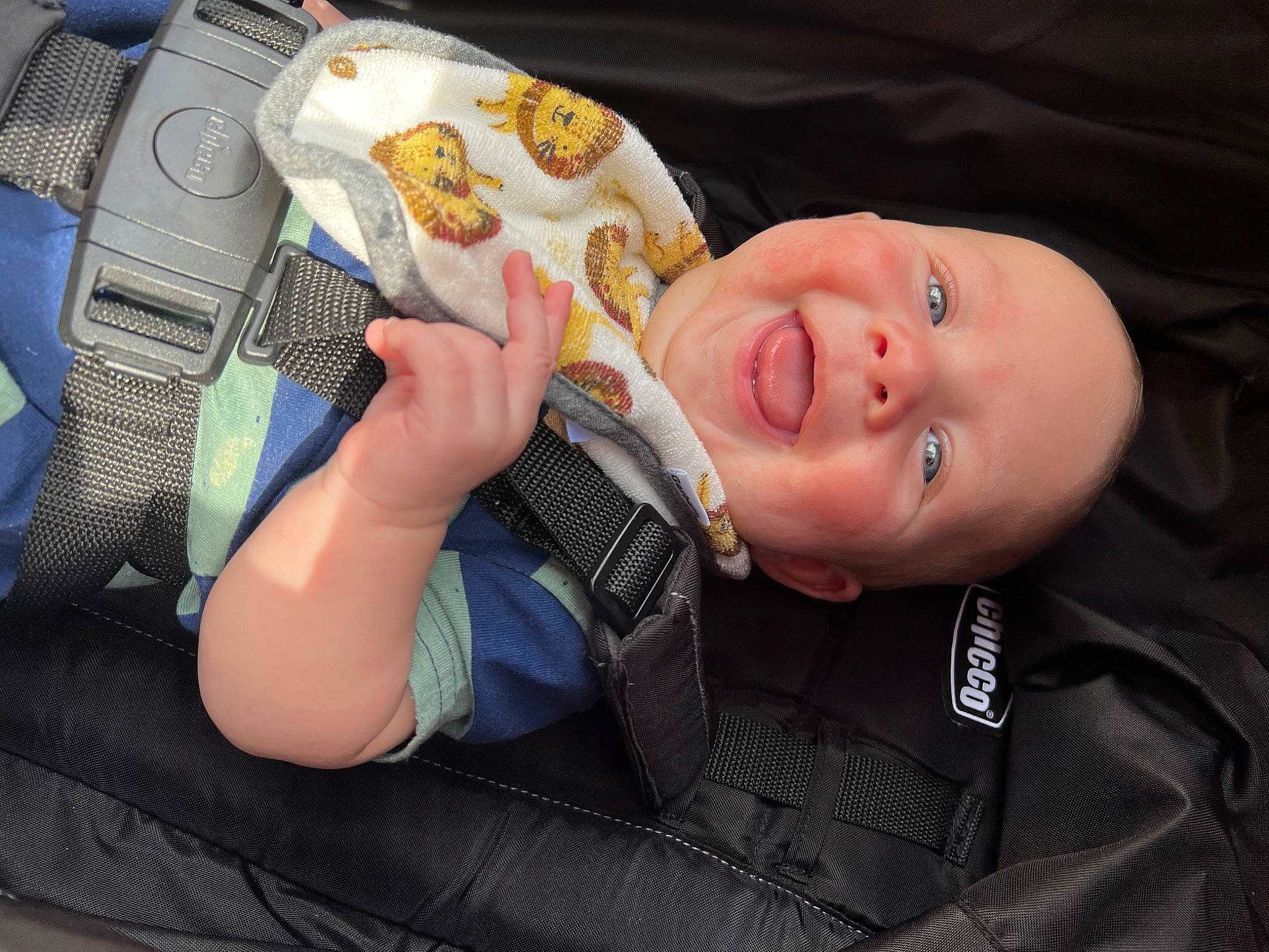 Everett is registered to the contest to win money with this photo: auto_part, baby, baby_products, car_seat, child, comfort_food, dessert, electric_blue, finger, fish, food, fun, happy, luggage_and_bags, nail, person, personal_protective_equipment, seafood, smile, toddler