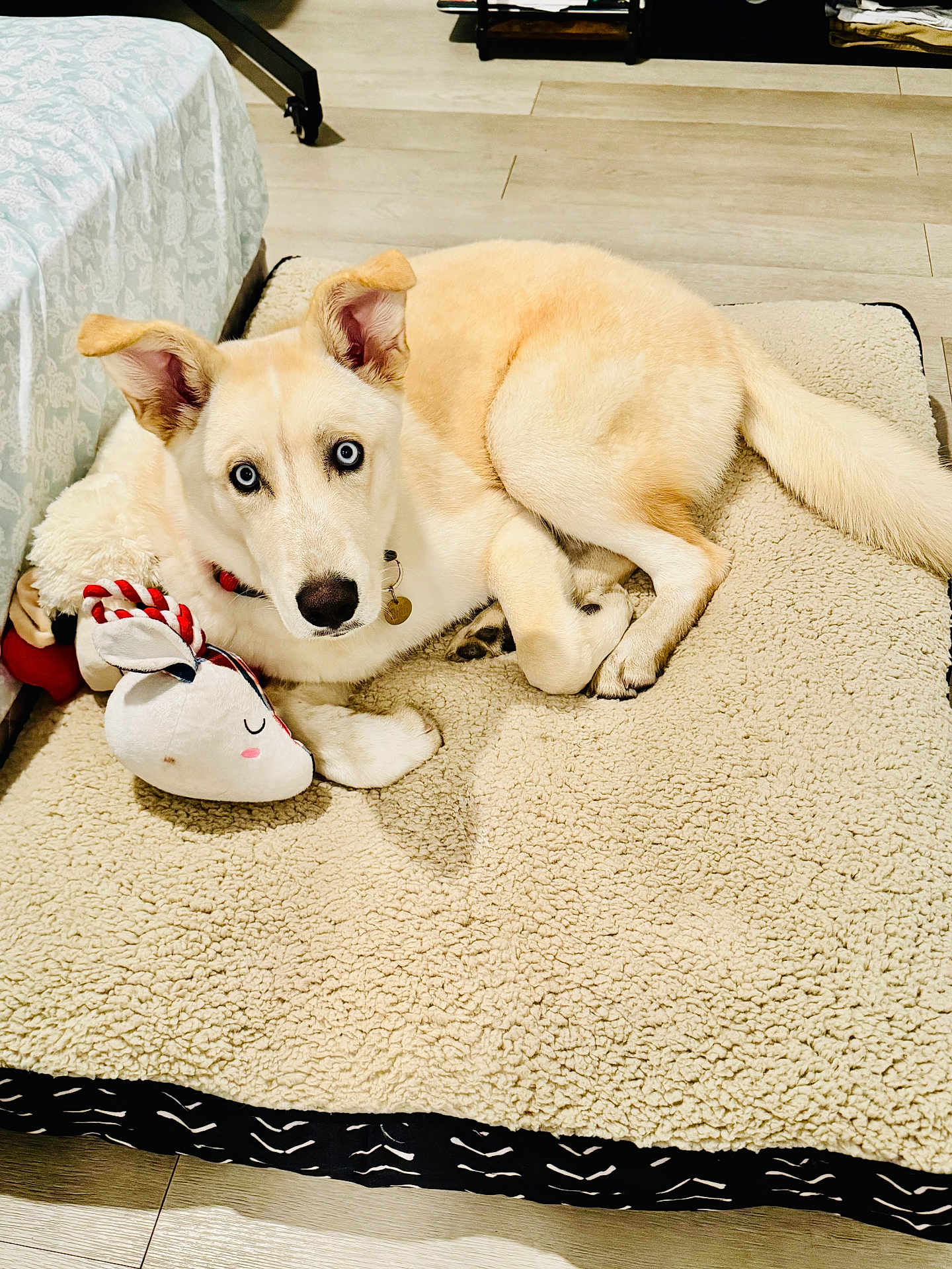 Thor