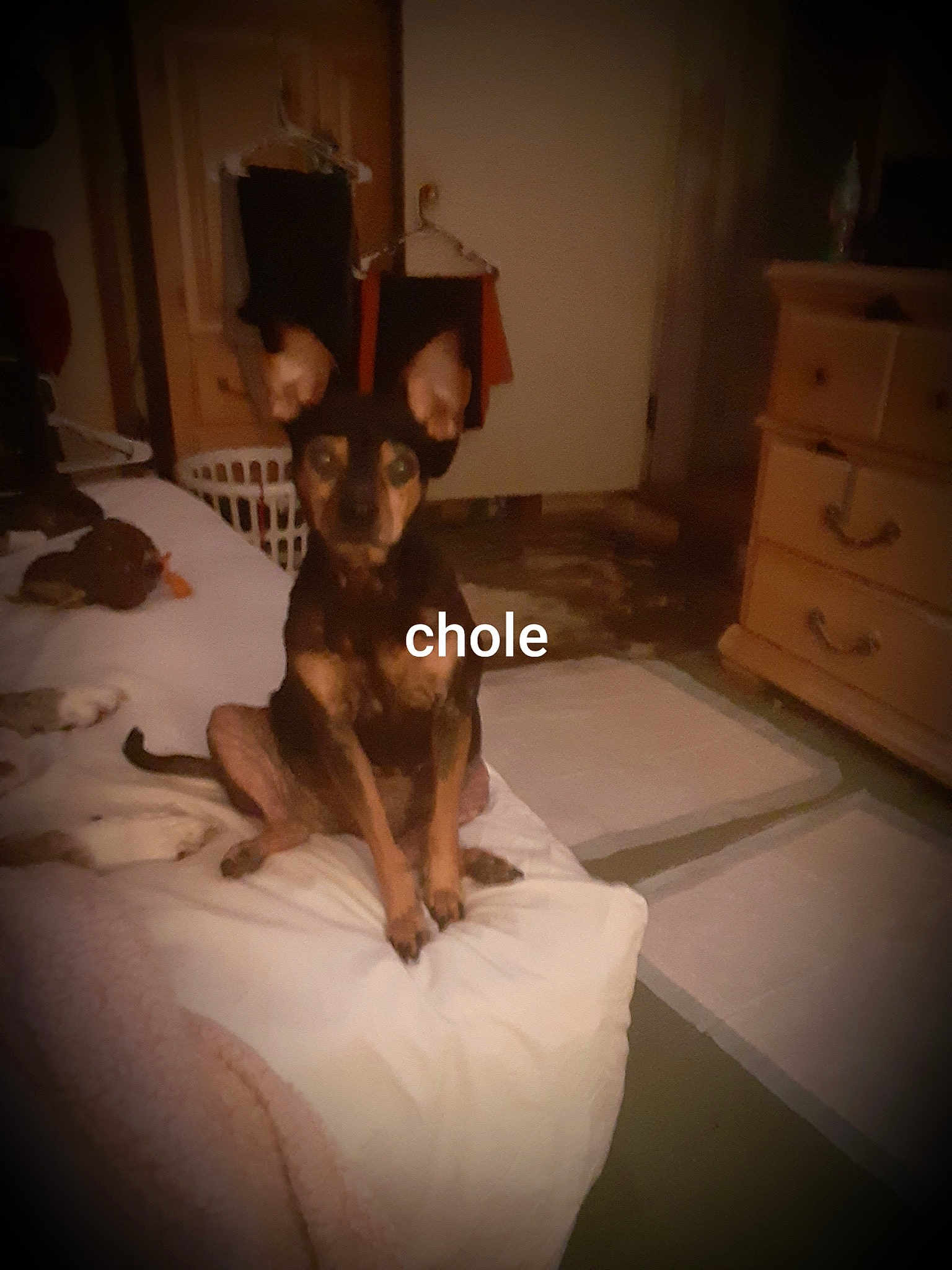 Chloe