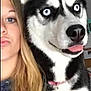 woman, dog, husky, blue_eyes, tongue_out, selfie, close_up, blonde_hair, pet, indoor, collar, black_and_white_fur, face, expression, young_adult, casual_clothing, portrait, animal, companion, cute