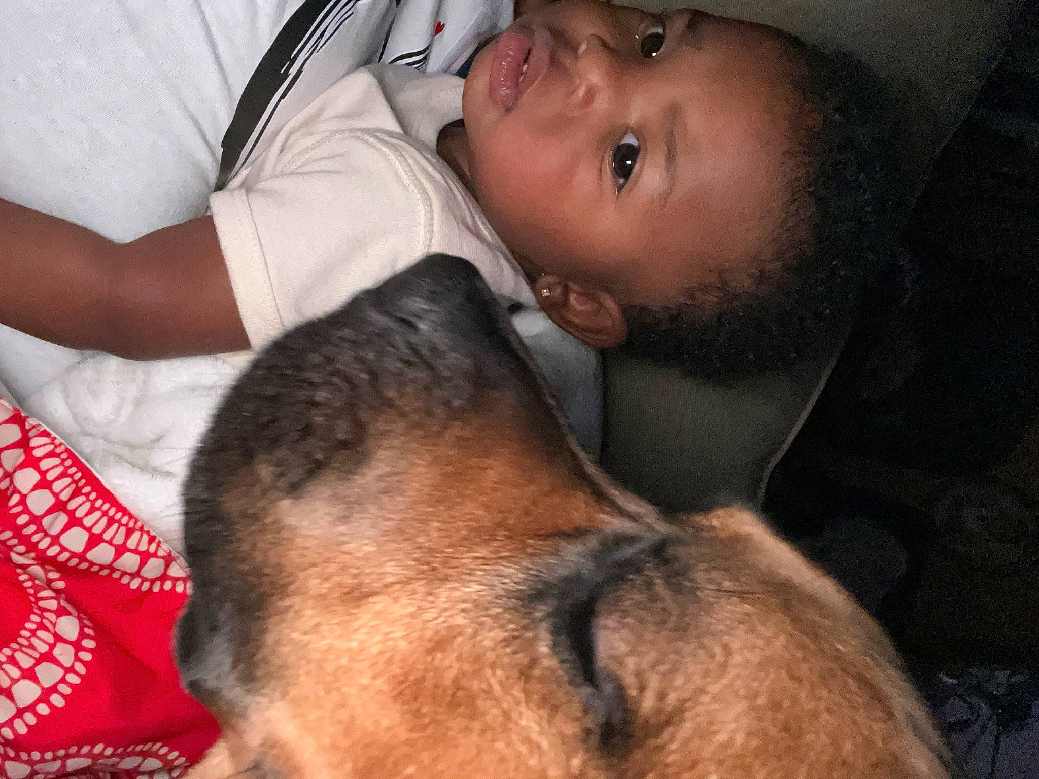 Brylee Sai joined the competition — help win amazing prizes! carnivore, comfort, companion_dog, cool, dog, ear, eye, eyebrow, eyelash, gesture, head, human, jaw, mammal, mouth, muscle, neck, nose, organ, person