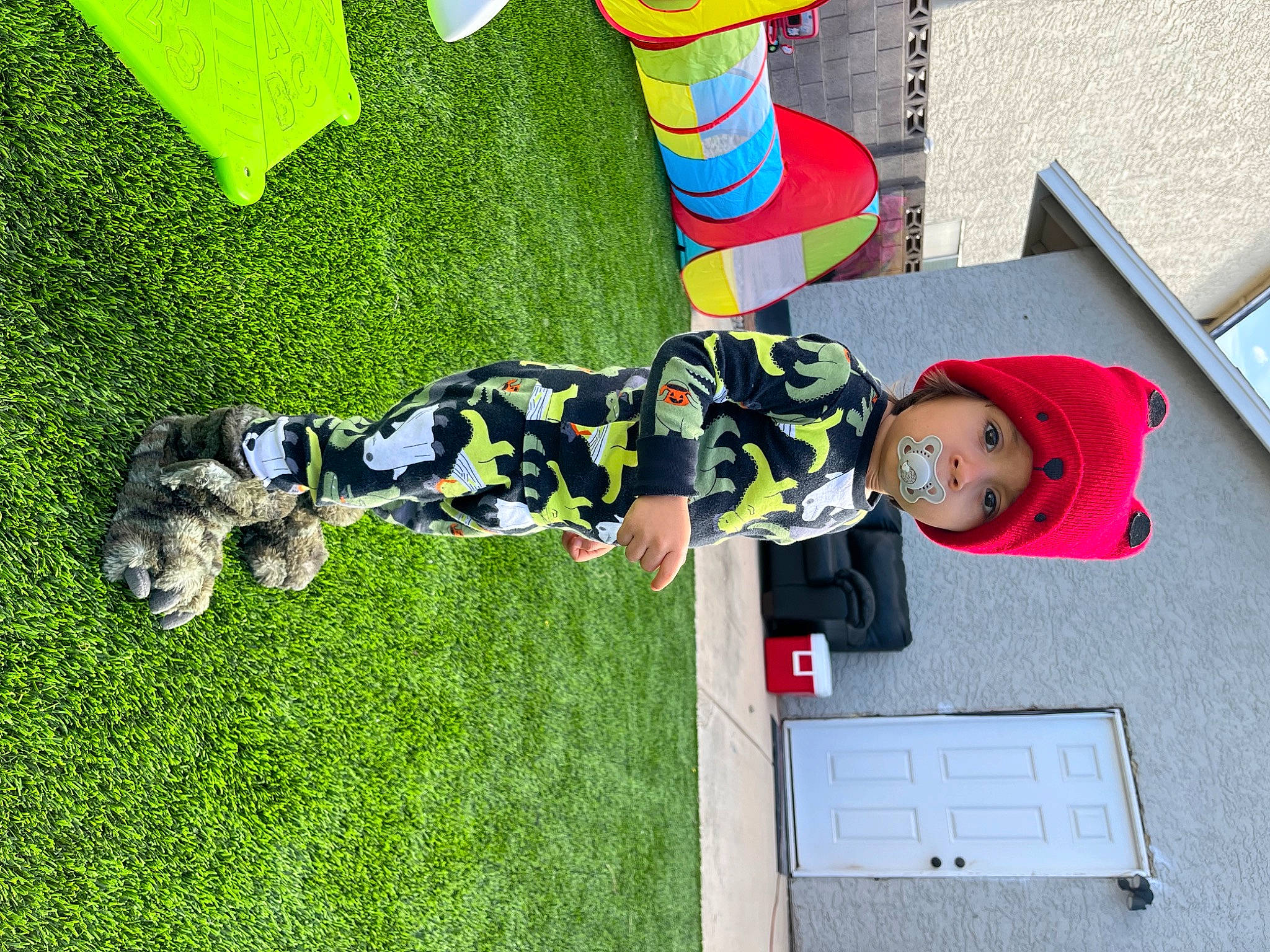 Apollo joined the competition — help win amazing prizes! baby_products, child, flooring, fun, grass, grassland, green, hat, headwear, house, leisure, pattern, person, plant, play, recreation, room, sneakers, sock, t_shirt