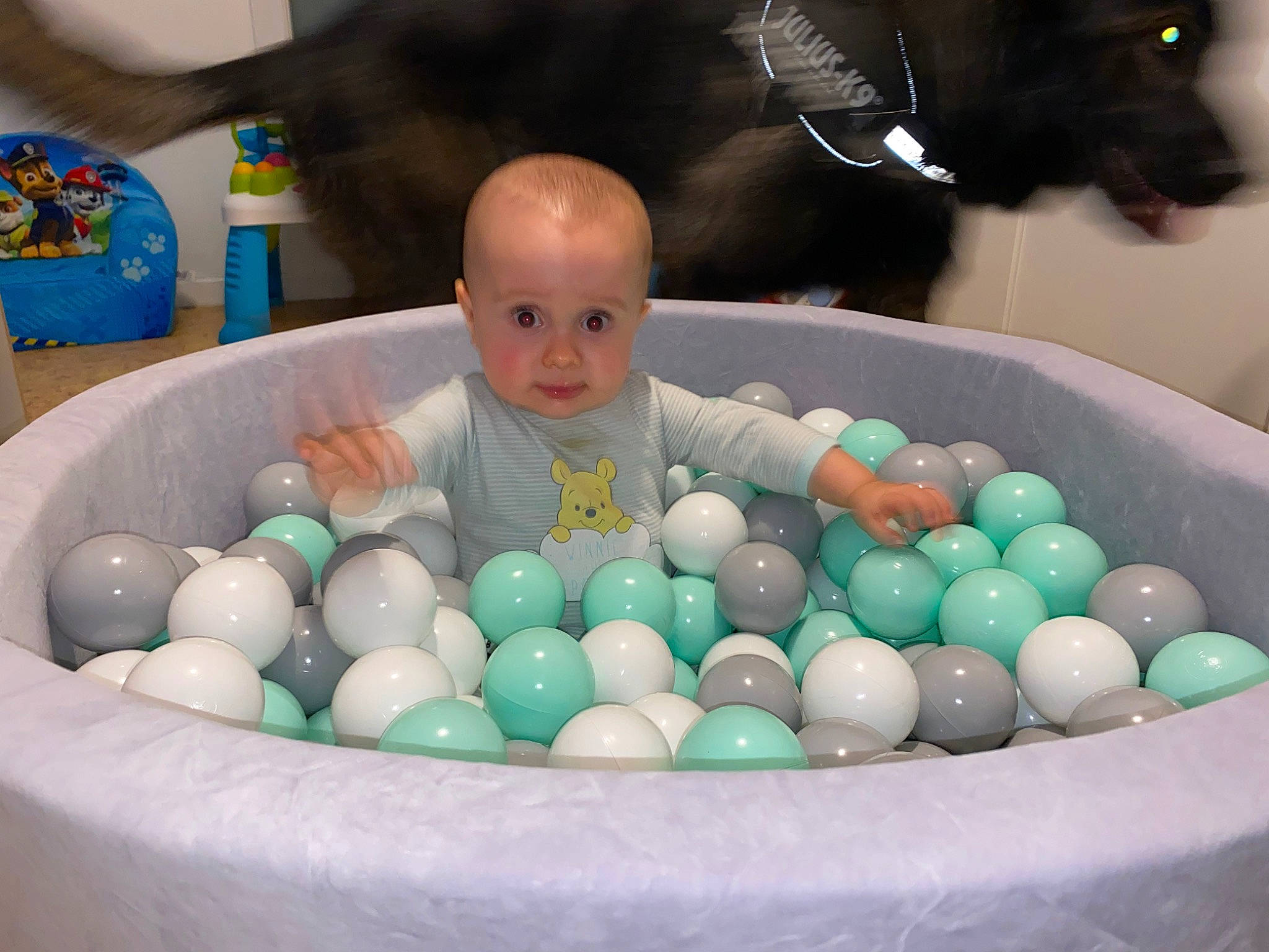 Thybo a rejoint le concours — aidez-le/la à gagner de superbes lots ! baby, baby_products, ball, child, circle, confectionery, dishware, event, fun, glass, green, ingredient, person, photography, plastic, play, recreation, room, sweetness, table