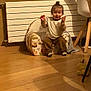toddler, child, indoors, chair, wooden_floor, radiator, window, happy, smiling, topknot, clothing, furniture, home, person, sitting, cute, hand_gesture, cozy, animal_print, toy