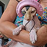 Aina participe au concours pour gagner de l'argent avec cette photo : animal, arms, cat, close_up, colorful_clothing, companion_animal, costume, cute, fashion, funny, green_eyes, hairless_cat, indoors, paws, person, pet, pink_hat, portrait, sphynx_cat, whiskers
