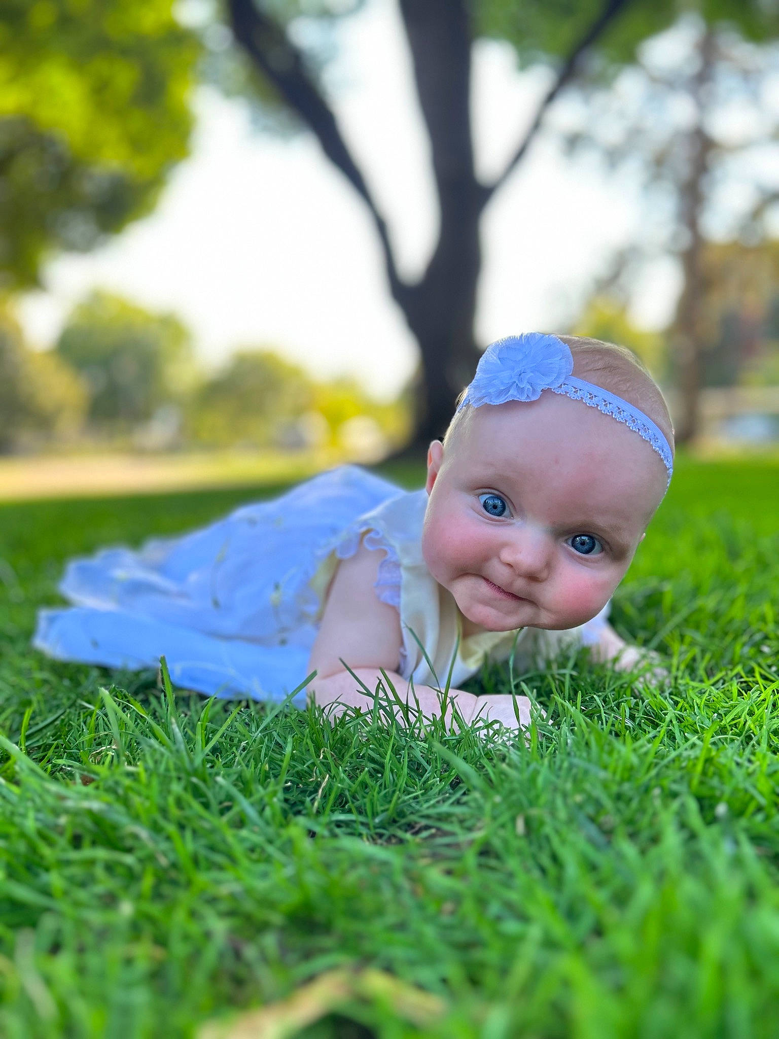 Cecilia is registered to the contest to win money with this photo: baby, cap, electric_blue, flash_photography, grass, grassland, happy, hat, headgear, lawn, leisure, meadow, people_in_nature, person, plant, sitting, sky, smile, toddler, tree