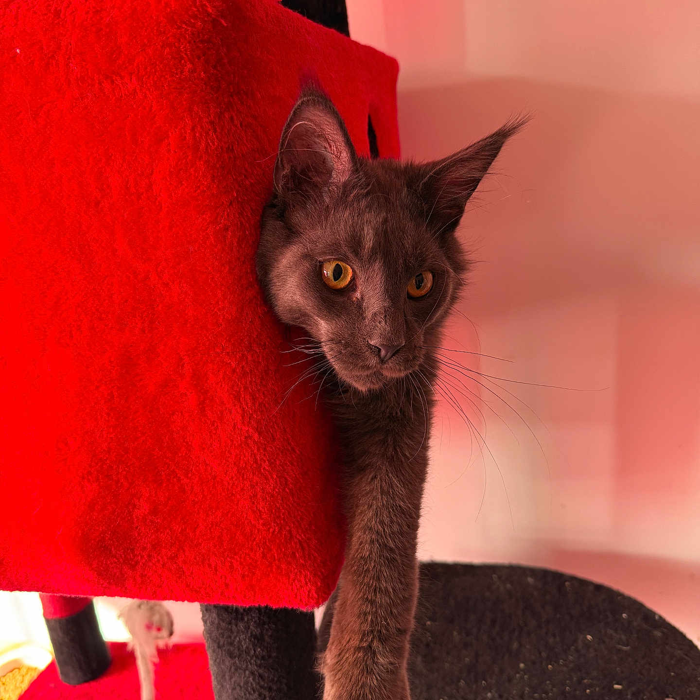 Ares