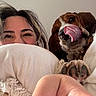 person, dog, face, smile, tongue, pillow, fur, pet, cute, cozy, indoor, closeup, relaxed, happy, companion, animal, head, paw, light, casual