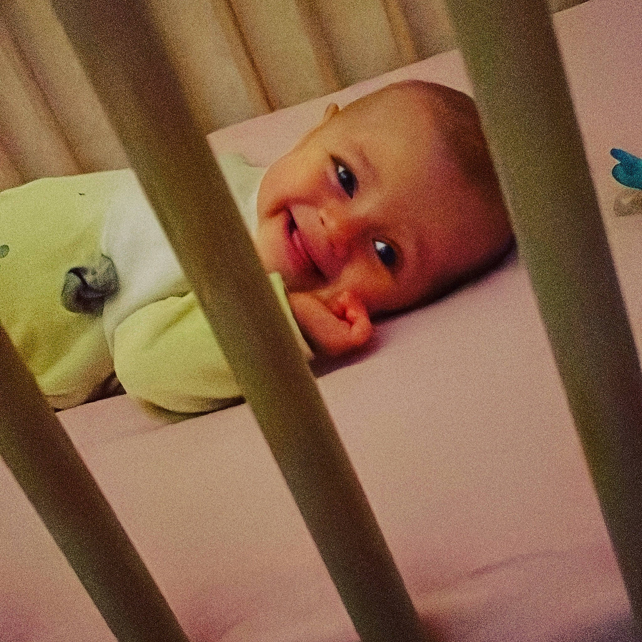 Iris participe au concours pour gagner de l'argent avec cette photo : arm, baby, baby_products, baby_safety, baby_sleeping, baby_toddler_clothing, bed, bedtime, cheek, child, comfort, cradle, happy, human_body, infant_bed, joy, linens, nursery, person, smile