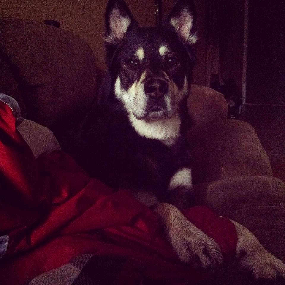 Spirit is registered to the contest to win money with this photo:
