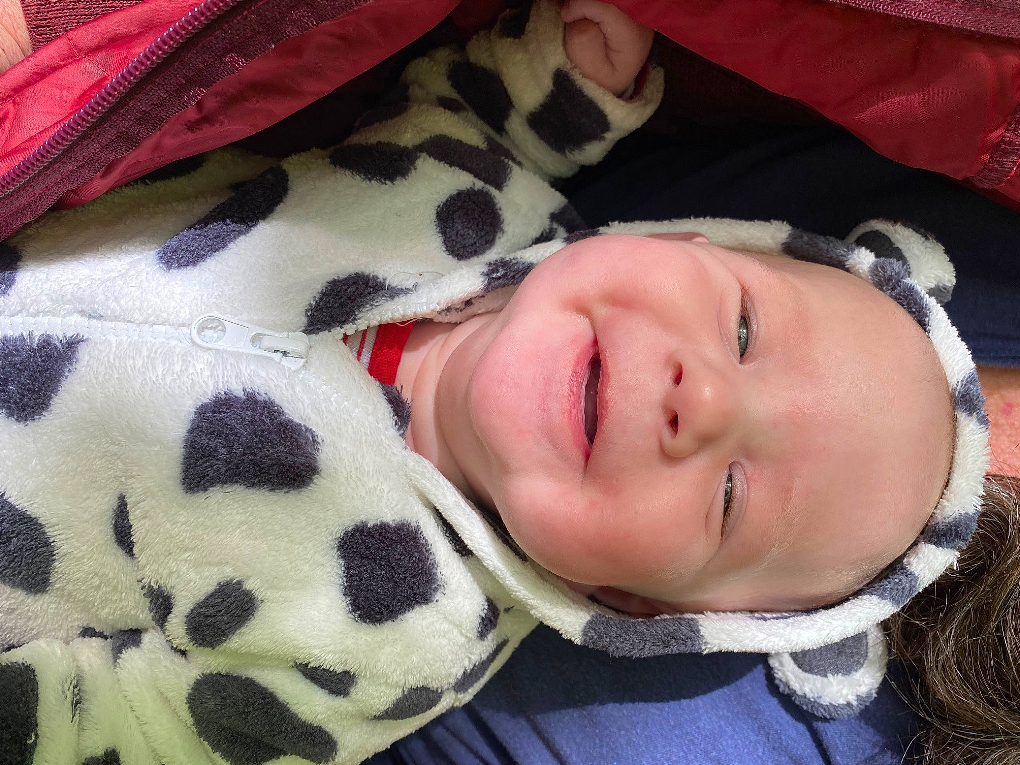 Lisandro participe au concours pour gagner de l'argent avec cette photo : baby, baby_toddler_clothing, cheek, child, comfort, eyelash, fur, happy, headgear, linens, nose, pattern, person, portrait_photography, smile, toddler, tree, white, wood