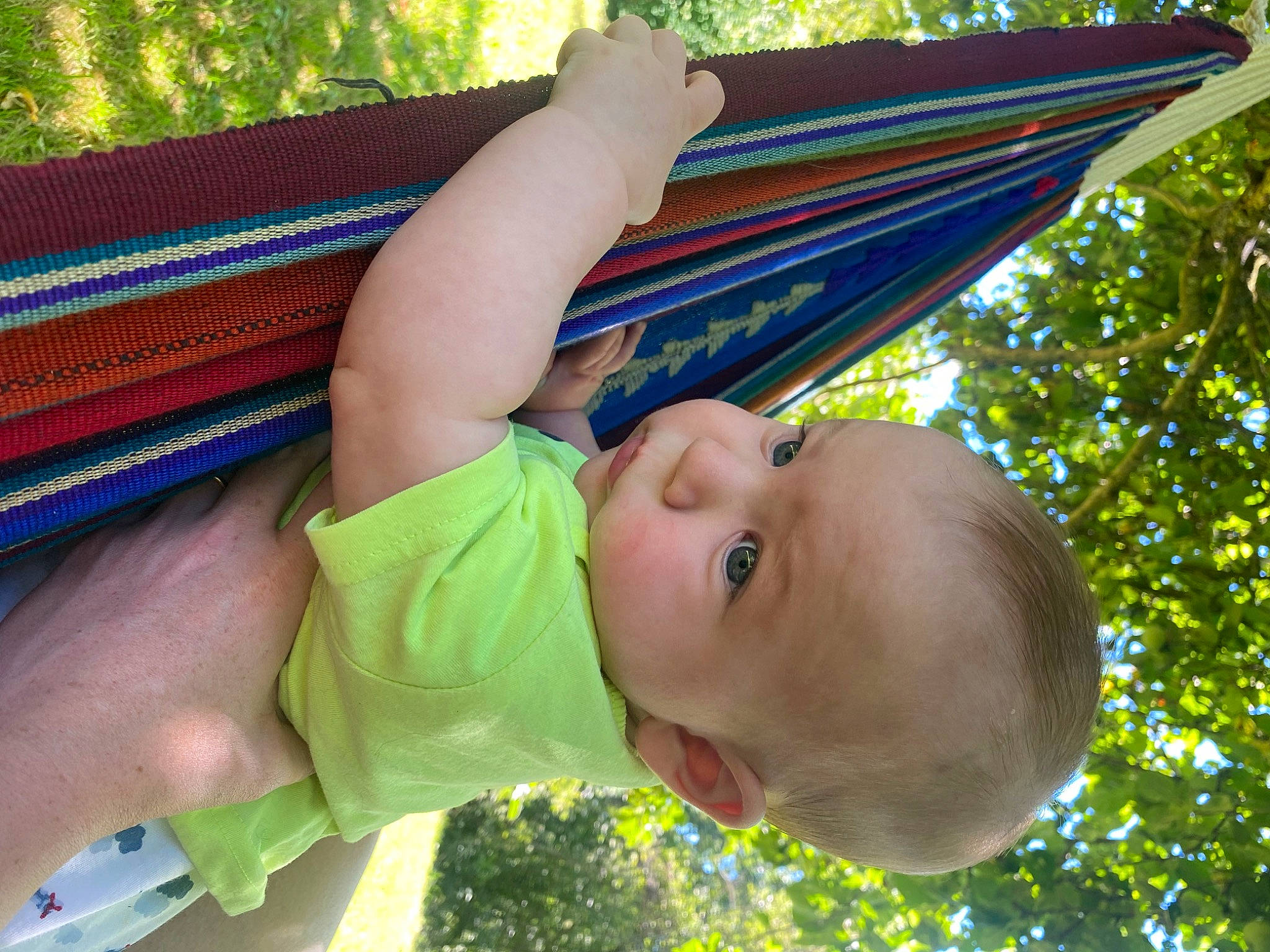 Lisandro a rejoint le concours — aidez-le/la à gagner de superbes lots ! baby, baby_toddler_clothing, child, fun, grass, happy, human_body, leisure, light, pattern, people_in_nature, person, plant, play, shade, toddler, tree, vacation, wood, yellow