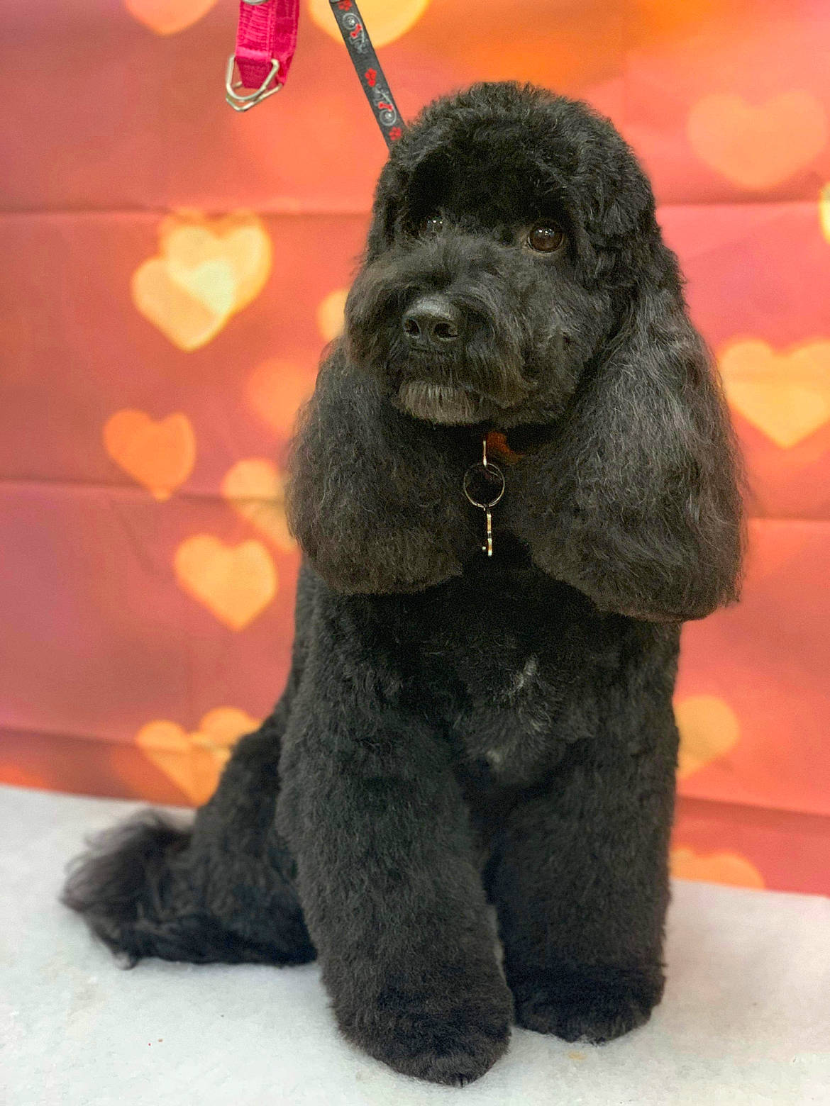 Archie