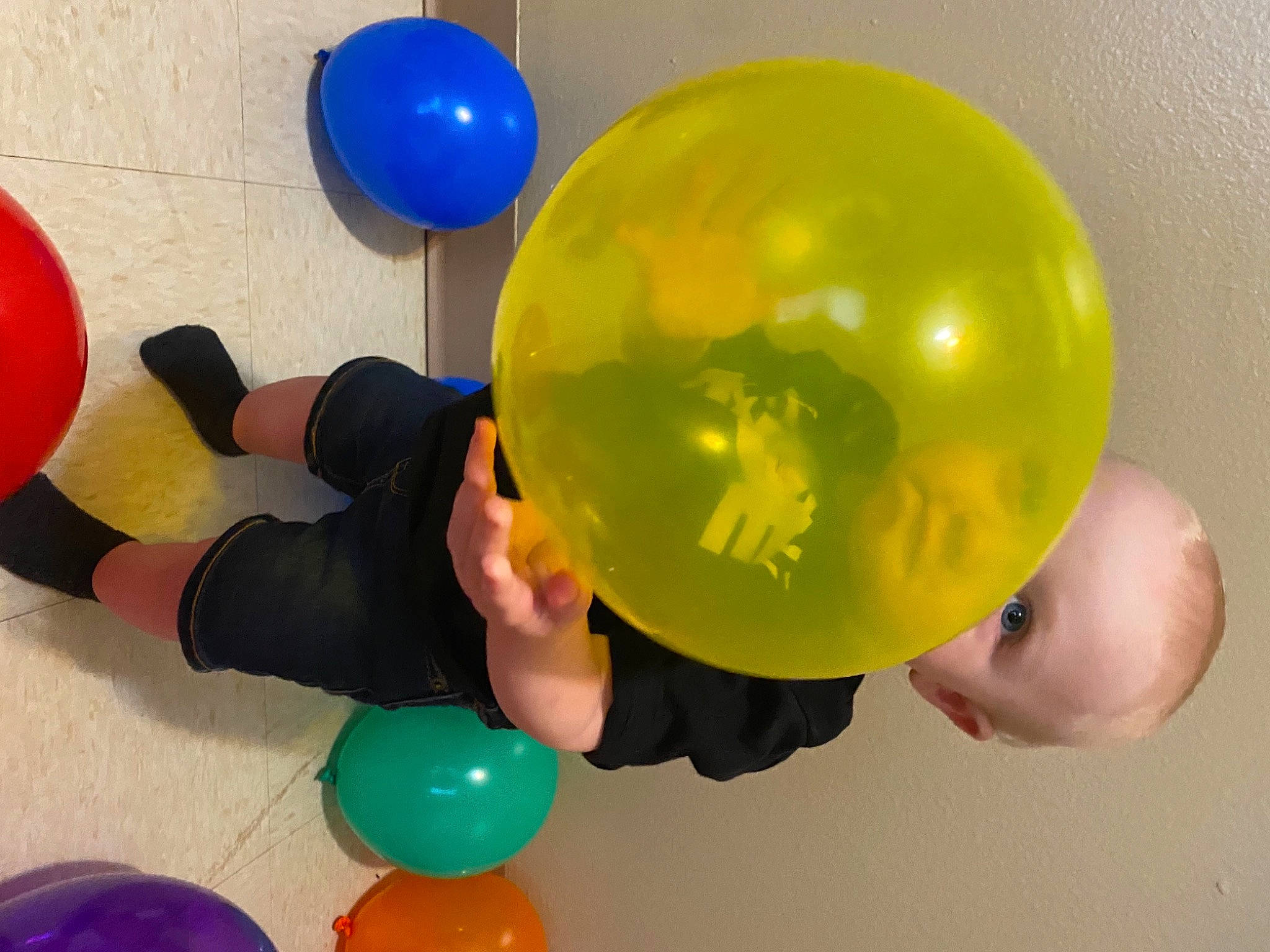Gunner is registered to the contest to win money with this photo: baby, balance, ball, balloon, blue, child, circle, event, fun, happy, leisure, light, party_supply, person, play, playing_sports, sharing, toddler, toy, white