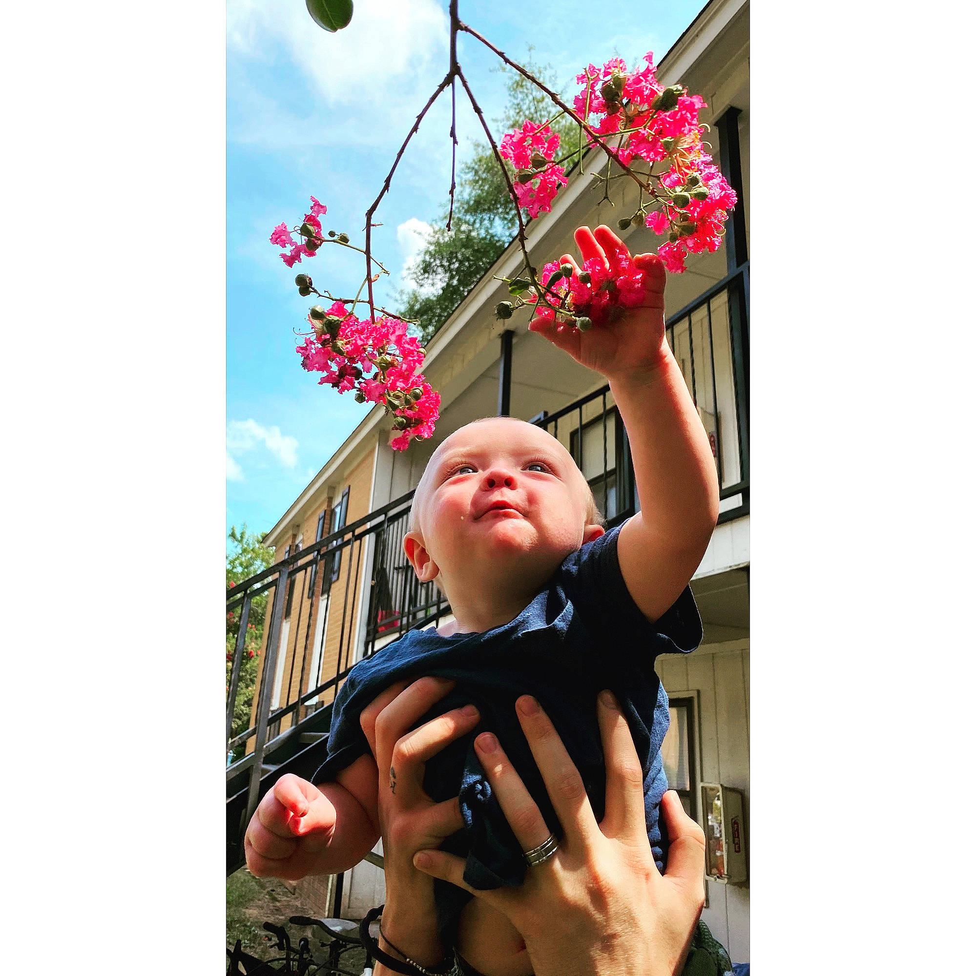 Gunner joined the competition — help win amazing prizes! baby, blossom, cloud, flower, flowering_plant, gesture, happy, leisure, magenta, people_in_nature, person, petal, pink, plant, pole, sky, smile, thumb, toddler, travel