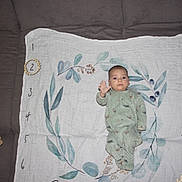 ézéchiel participe au concours pour gagner de l'argent avec cette photo : baby, blanket, eyes, face, foliage, green_onesie, hand, indoor, infant, leaf_pattern, lying_down, milestone_blanket, milestone_marker, numbers, onesie, pillow, portrait, sofa, soft_lighting, textile