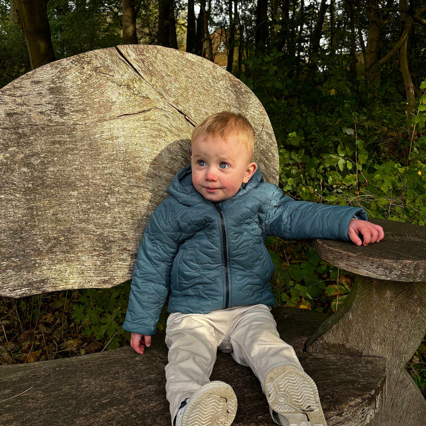 Finlay is registered to the contest to win money with this photo: bodypart, boy, child, clothing, coat, face, finger, head, jacket, jeans, male, pants, person, photography, plant, portrait, sitting, slate, tree, wood