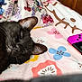 black_cat, sleeping_cat, floral_blanket, gaming_console, handheld_device, purple_controller, indoor, closeup, pet, resting, cute_animal, feline, soft_texture, colorful, comfort, domestic, relaxation, bedroom, wooden_chair, casual