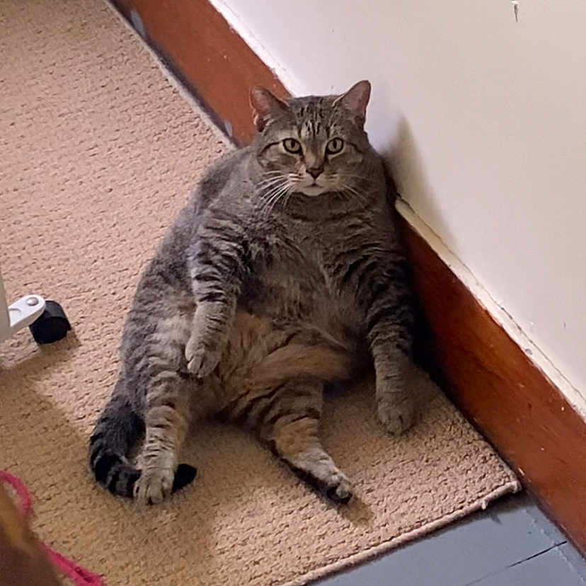 Lucie