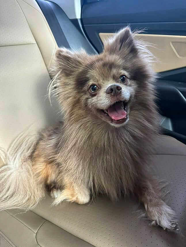 Coco