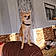 Viko
