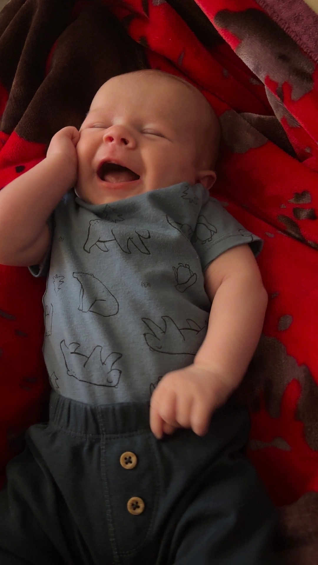 Waylon joined the competition — help win amazing prizes! baby, smiling, laughing, infant, clothing, blue_shirt, bear_prints, pants, buttons, blanket, red, brown, cozy, happy, cute, hand, face, portrait, child, indoors