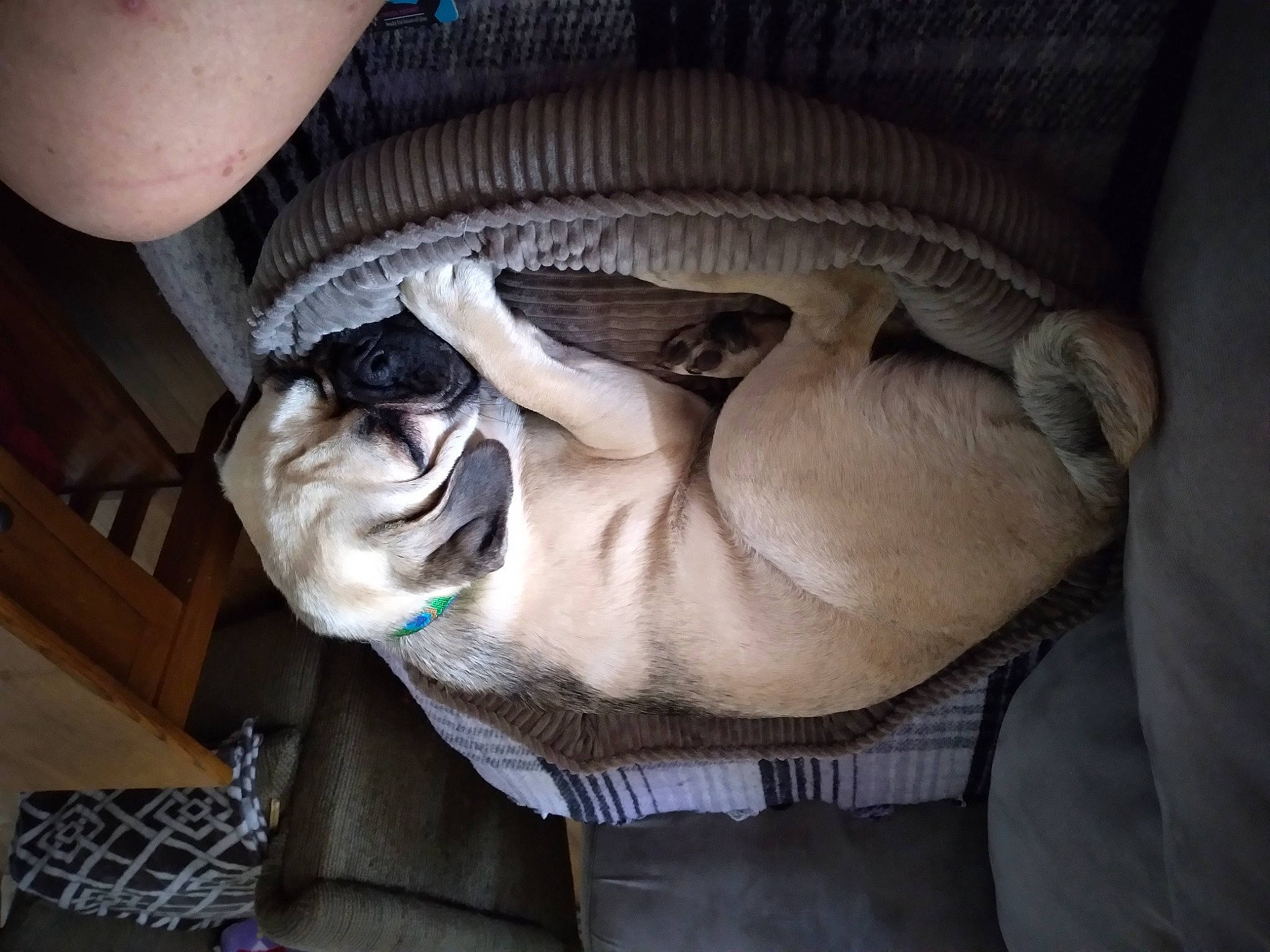 Tasha is registered to the contest to win money with this photo: art, beard, chest, comfort, eyewear, finger, gesture, glasses, hand, headgear, jaw, mouth, personal_protective_equipment, sculpture, statue, sunglasses, thumb, vision_care, wrinkle, wrist