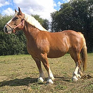 Quinta de la barre participe au concours pour gagner de l'argent avec cette photo :