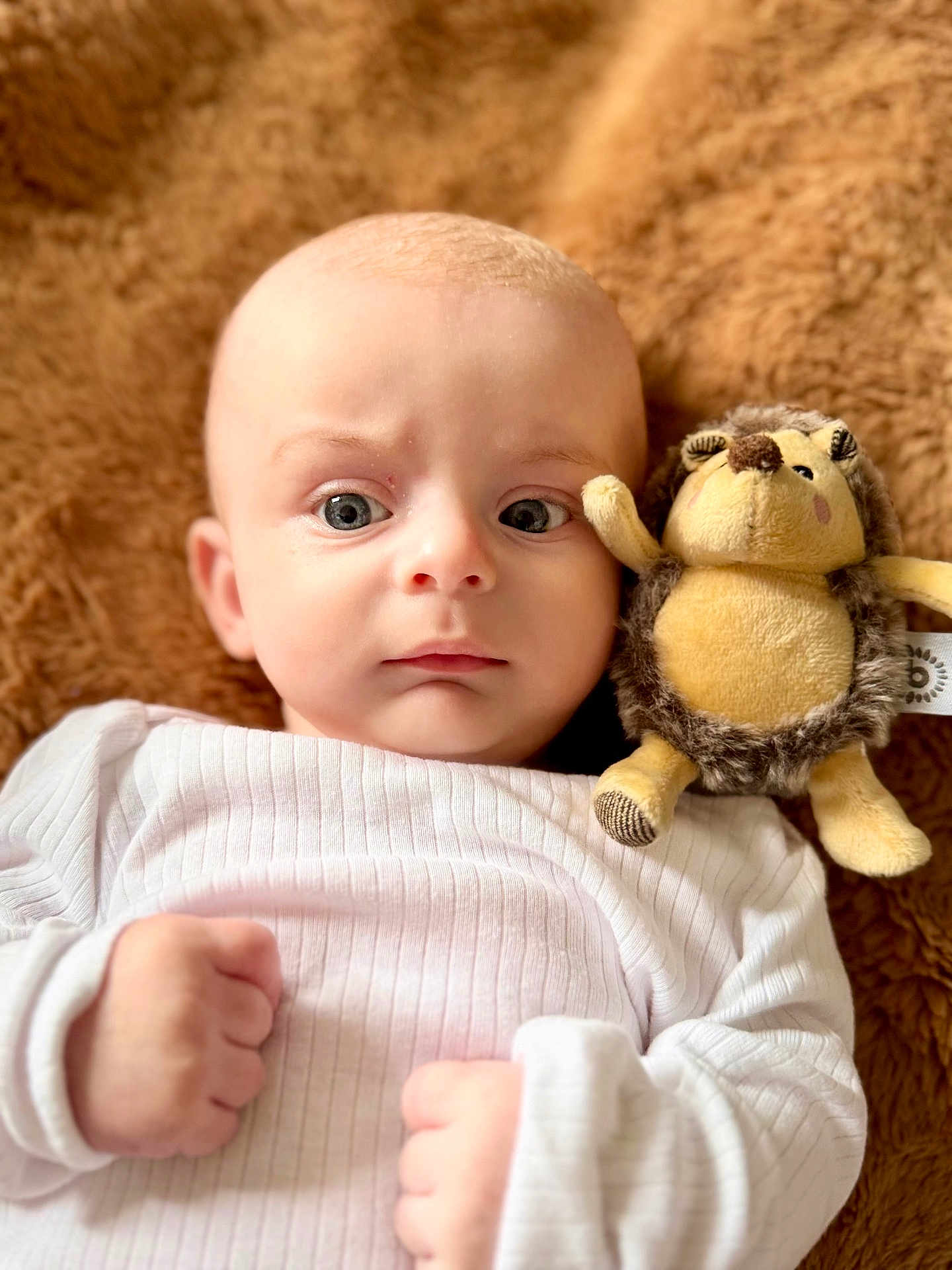 Denis participe au concours pour gagner de l'argent avec cette photo : baby, infant, white_clothing, plush_toy, hedgehog_toy, fist, blanket, soft_texture, cute, portrait, child, lying_down, close_up, indoors, young, face, expression, cuddly, warm, comfort