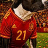 Tyna a rejoint le concours — aidez-le/la à gagner de superbes lots ! dog, soccer_ball, sports_jersey, stadium, grass, confetti, crowd, celebration, black_and_white_dog, adidas_logo, number_21, team_spain, pet, animal, outdoor, sports, football, canine, mascot, event