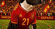 Tyna participe au concours pour gagner de l'argent avec cette photo : adidas, animal, celebration, competition, confetti, crowd, dog, event, fan, flags, grass, outdoor, pet, portrait, red_and_yellow, sitting, soccer_ball, sports_jersey, stadium, team_spirit