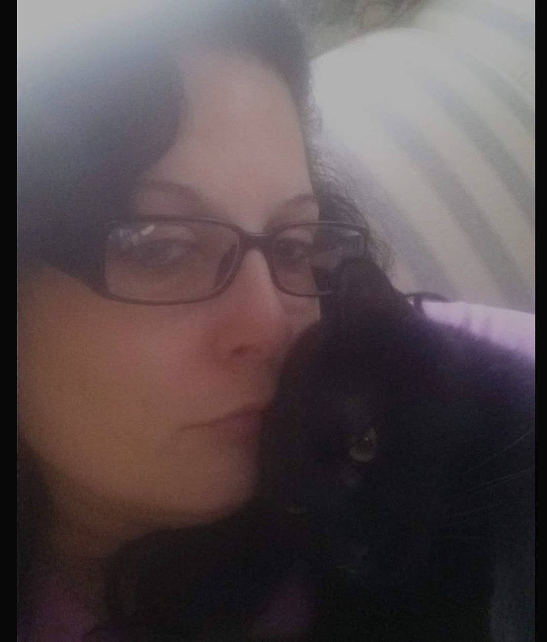 George is registered to the contest to win money with this photo: carnivore, cat, cloud, comfort, cool, ear, eyebrow, eyewear, felidae, glasses, hair, happy, head, jaw, lip, mammal, mouth, nose, vision_care, whiskers