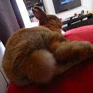 Juliette a rejoint le concours — aidez-le/la à gagner de superbes lots !