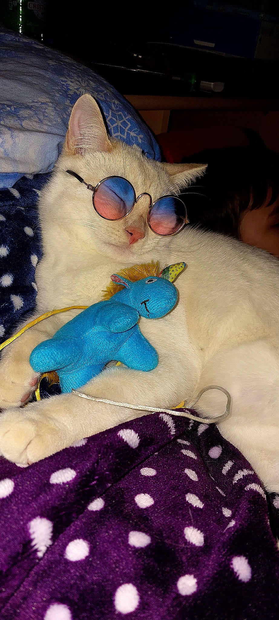 Sky a rejoint le concours — aidez-le/la à gagner de superbes lots ! art, carnivore, cat, claw, comfort, creative_arts, domestic_short_haired_cat, electric_blue, fawn, felidae, fur, linens, pattern, paw, plush, small_to_medium_sized_cats, stuffed_toy, tail, textile, whiskers