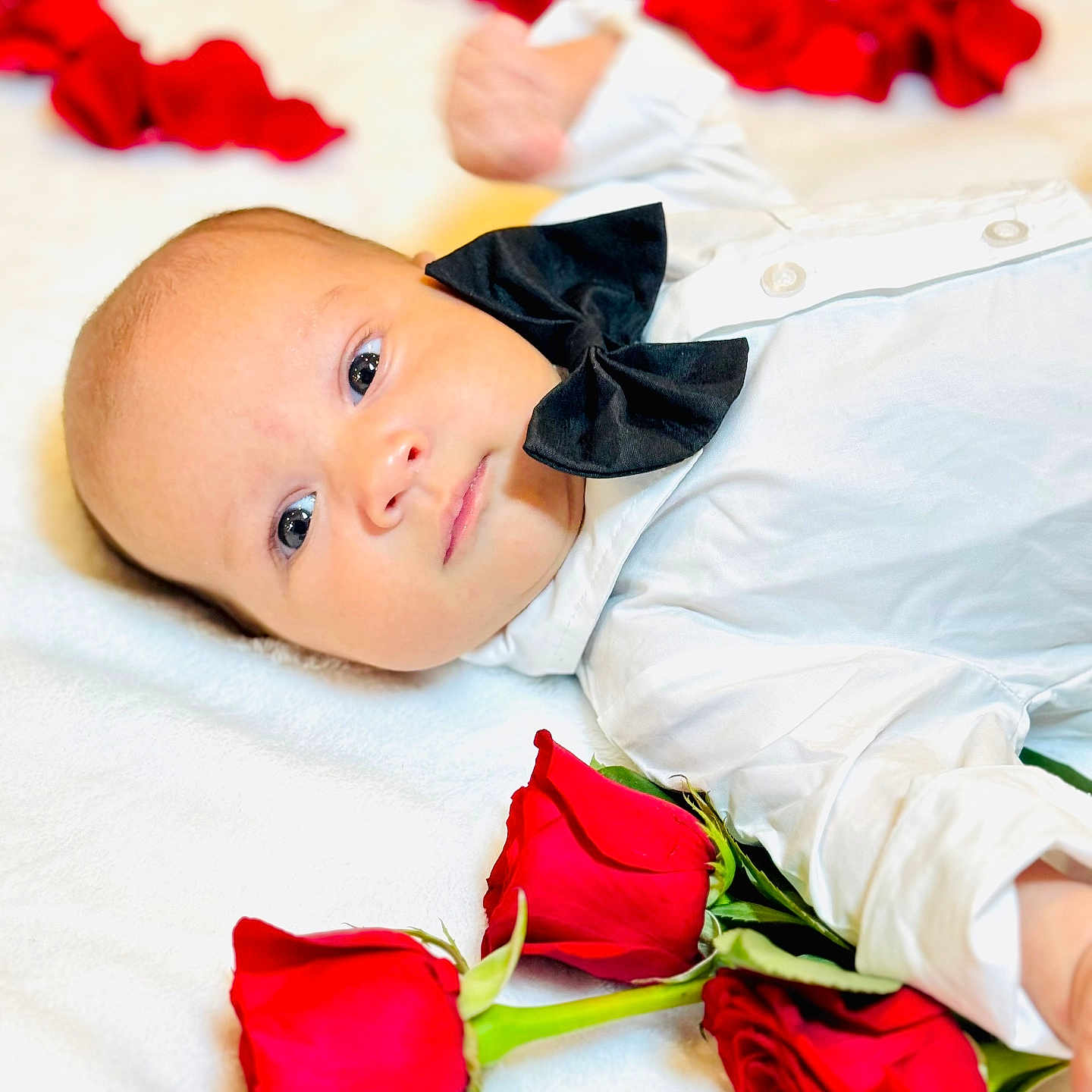 Paolo Ojeda is registered to the contest to win money with this photo: adorable, baby, baby_boy, black_bow_tie, blanket, child, closeup, cute, face, flower, head, infant, lying_down, newborn, peaceful, portrait, red_roses, skin, soft_texture, white_shirt