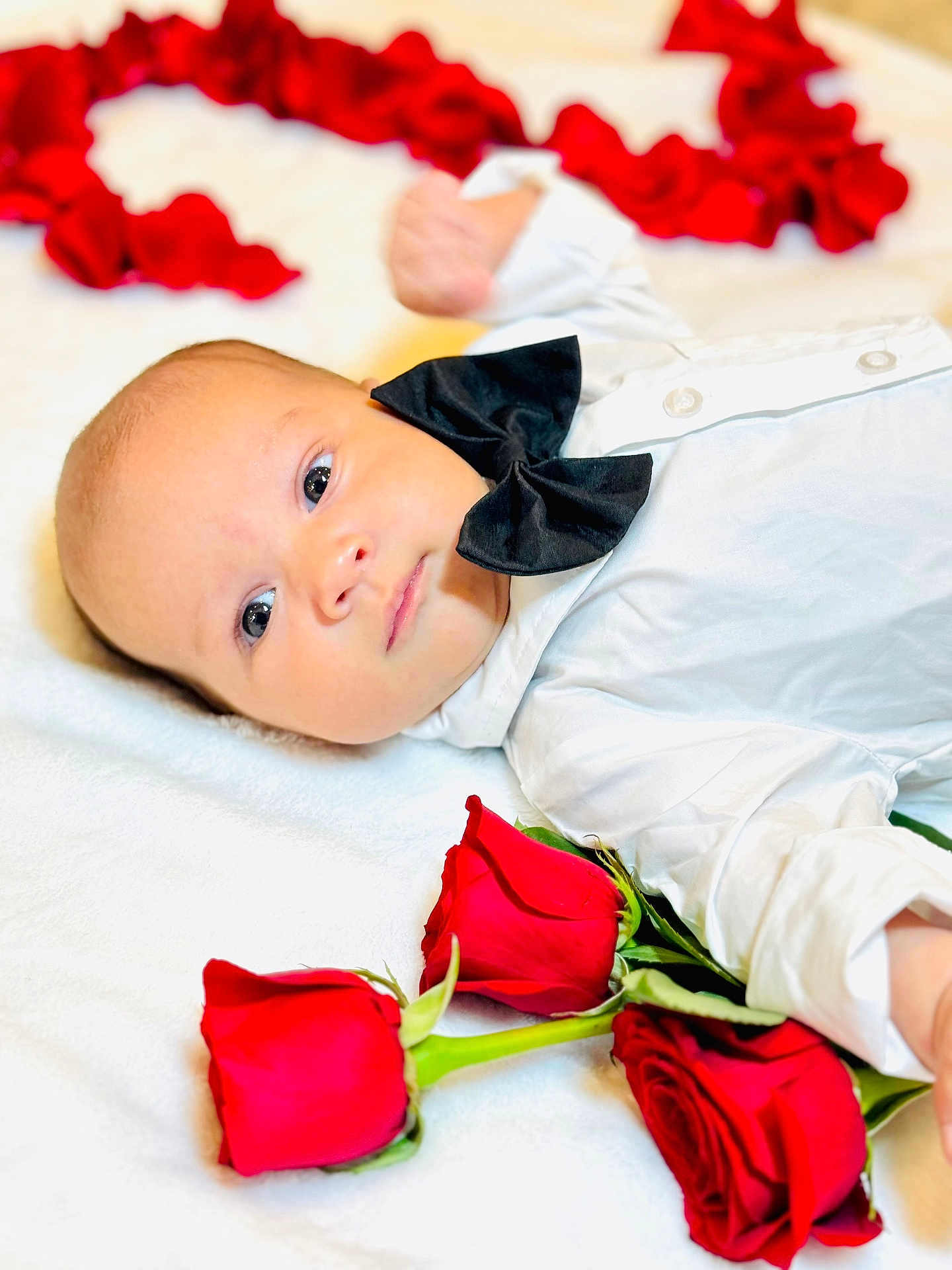 Paolo Ojeda is registered to the contest to win money with this photo: adorable, baby, baby_boy, black_bow_tie, blanket, child, closeup, cute, face, flower, head, infant, lying_down, newborn, peaceful, portrait, red_roses, skin, soft_texture, white_shirt