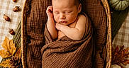 Christian joined the competition — help win amazing prizes! newborn, baby, sleeping, portrait, basket, swaddled, blanket, autumn, fall, pumpkins, leaves, candle, wicker, rustic, cozy, overhead_view, still_life, indoors, peaceful, seasonal