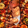 newborn, baby, sleeping, portrait, autumn, fall, pumpkin, gourd, maple_leaf, blanket, plaid, diaper, outdoor, nature, seasonal, cozy, peaceful, infant, still_life, photography