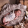 Noa a rejoint le concours — aidez-le/la à gagner de superbes lots ! baby, infant, basket, blanket, fluffy, cozy, dried_flowers, neutral_colors, decor, wood, soft_texture, cute, sleepwear, newborn, portrait, indoors, peaceful, small, person, resting