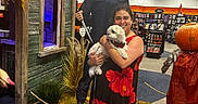 Shooski joined the competition — help win amazing prizes! costume, decoration, dog, halloween, horror, indoor, mannequin, mask, michael_myers, person, pet, portrait, pumpkin, retail, rope, scarecrow, small_dog, smiling, store, woman