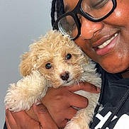 Oliver Anthony joined the competition — help win amazing prizes! person, dog, puppy, hugging, glasses, smiling, black_hoodie, curly_fur, close_up, indoor, affection, cute, pet, light_background, human_hand, portrait, friendship, warmth, joy, love