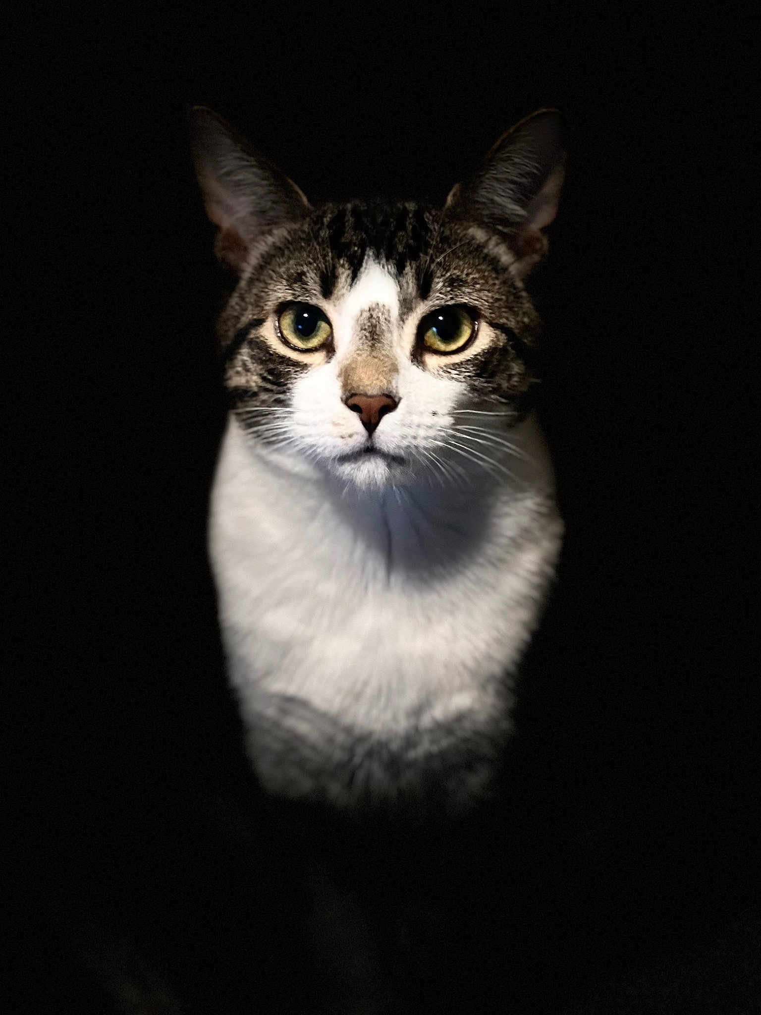 Obi