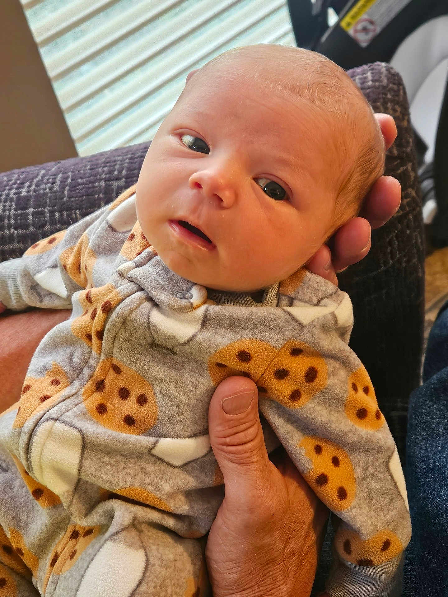 Oliver is registered to the contest to win money with this photo: baby, infant, hand, onesie, cookie_pattern, clothing, face, person, indoor, portrait, newborn, cozy, soft_light, window_blinds, adult_hand, cuddle, cute, expression, skin, head