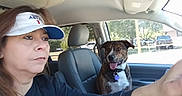 Oso is registered to the contest to win money with this photo: woman, dog, brindle_dog, car, vehicle, interior, driver, passenger, selfie, portrait, tongue_out, collar, dog_tag, seated, sunlight, window, parking_lot, trees, visor, road_trip