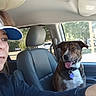 woman, dog, brindle_dog, car, vehicle, interior, driver, passenger, selfie, portrait, tongue_out, collar, dog_tag, seated, sunlight, window, parking_lot, trees, visor, road_trip