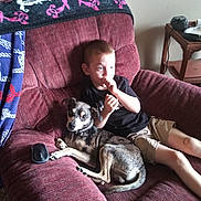 Xyler joined the competition — help win amazing prizes! child, dog, armchair, red_furniture, blanket, indoor, casual_clothing, shorts, black_shirt, pet, living_room, carpet, table, remote_control, mouse, relaxed, curious, boy, furniture, home